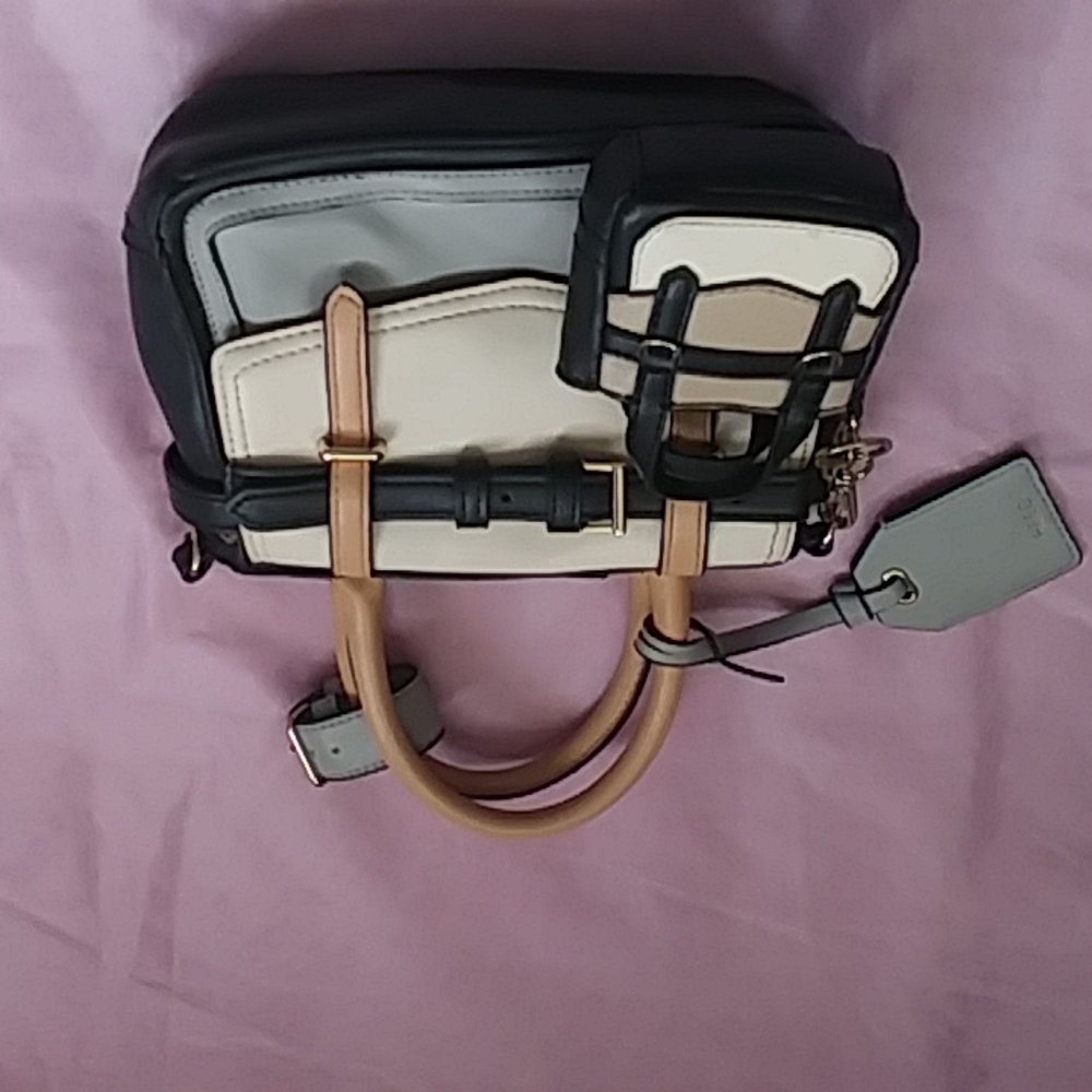 Reed designer colorblockd socialite mini bag with tiny money bag Nwot
